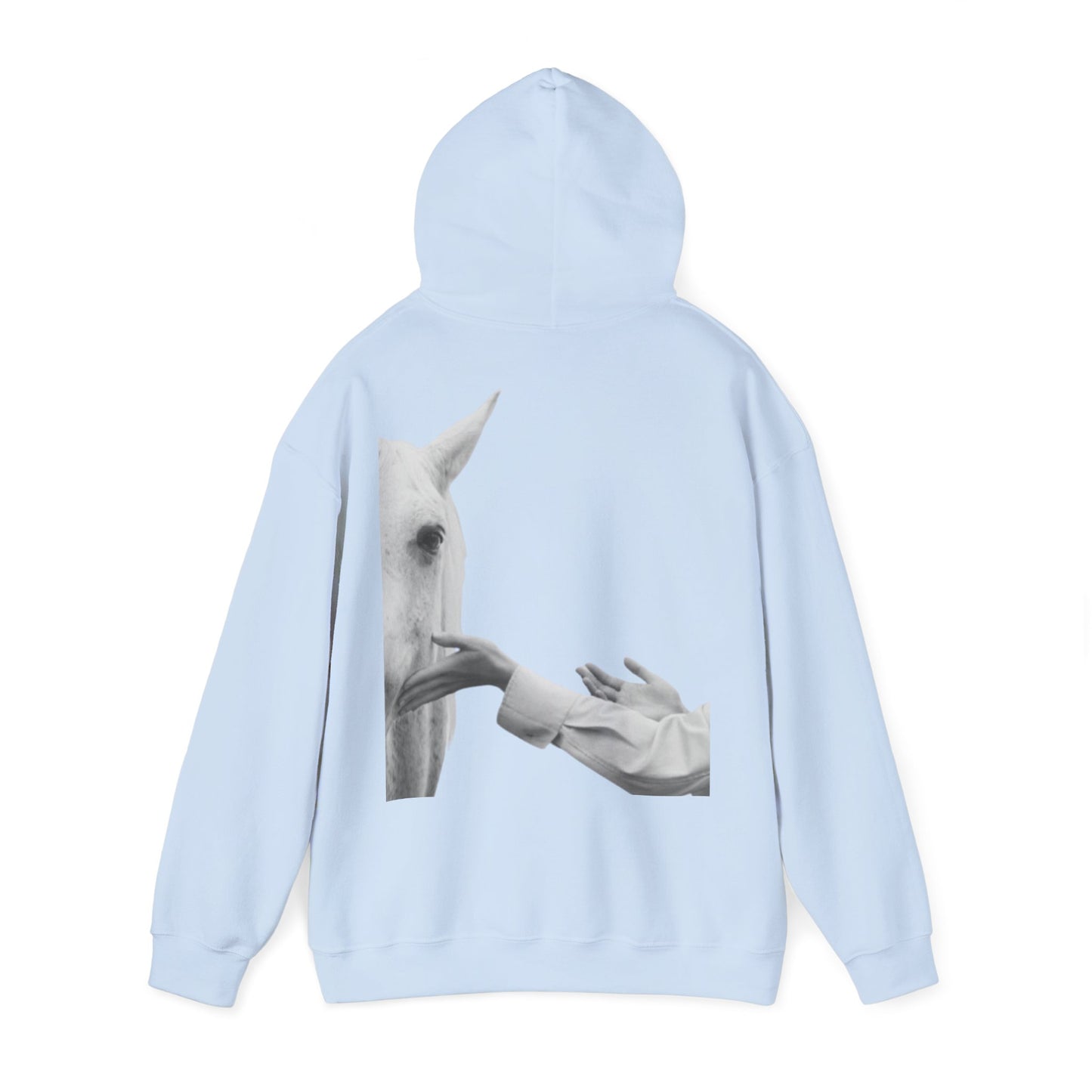 Horse Whisperer Hoodie - Minimal Line Art & Photo Back Print | Winter Drop