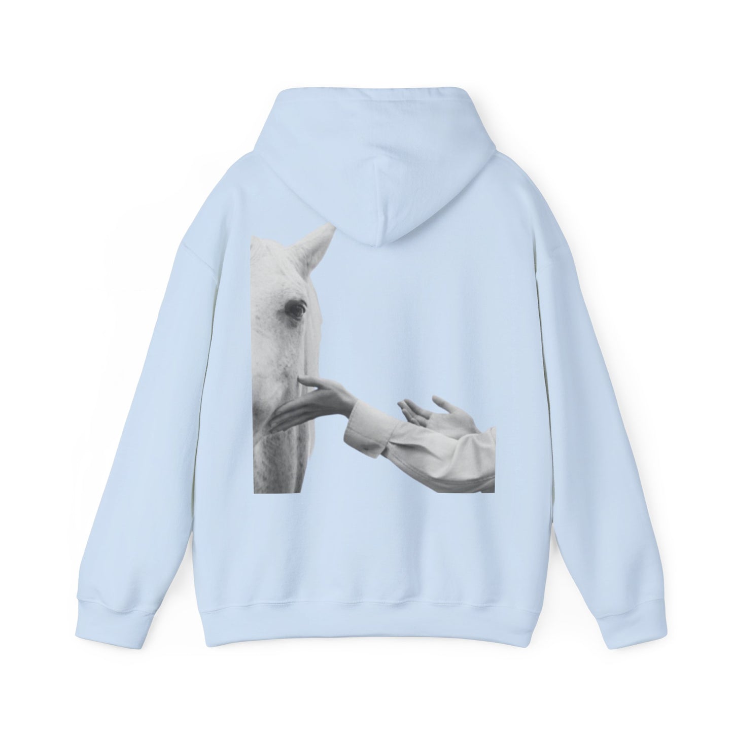 Horse Whisperer Hoodie - Minimal Line Art & Photo Back Print | Winter Drop