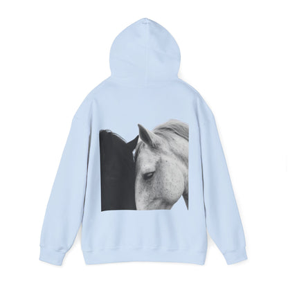 Horse Hoodie — Minimal Line Art Front & Black‑White Photo Back | Winter Drop