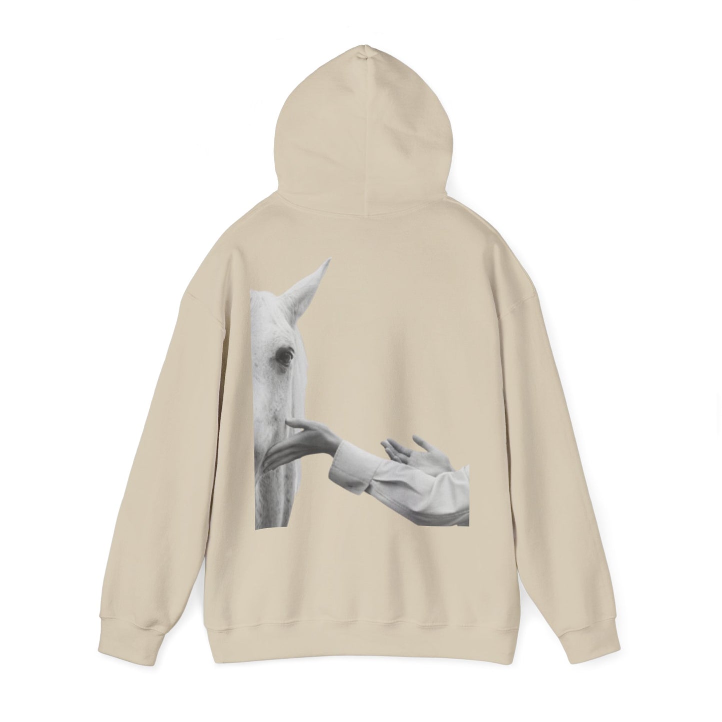Horse Whisperer Hoodie - Minimal Line Art & Photo Back Print | Winter Drop