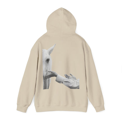 Horse Whisperer Hoodie - Minimal Line Art & Photo Back Print | Winter Drop