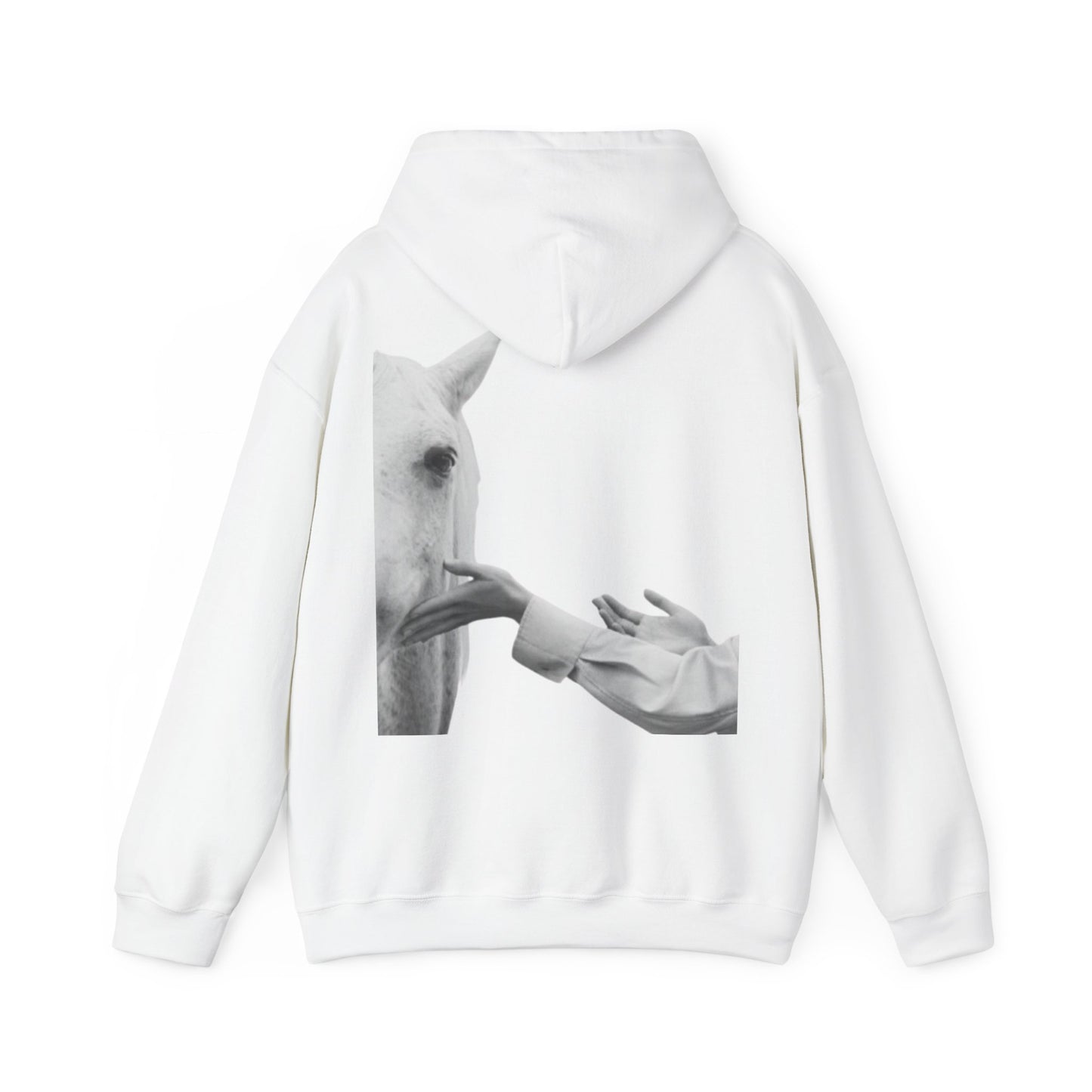 Horse Whisperer Hoodie - Minimal Line Art & Photo Back Print | Winter Drop
