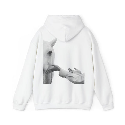 Horse Whisperer Hoodie - Minimal Line Art & Photo Back Print | Winter Drop