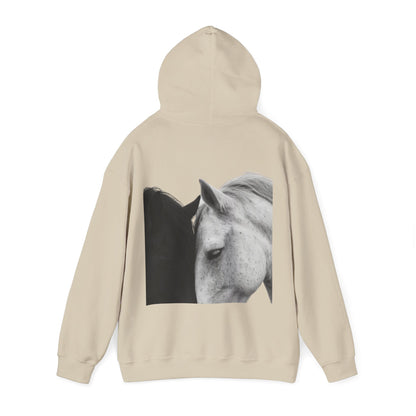 Horse Hoodie — Minimal Line Art Front & Black‑White Photo Back | Winter Drop