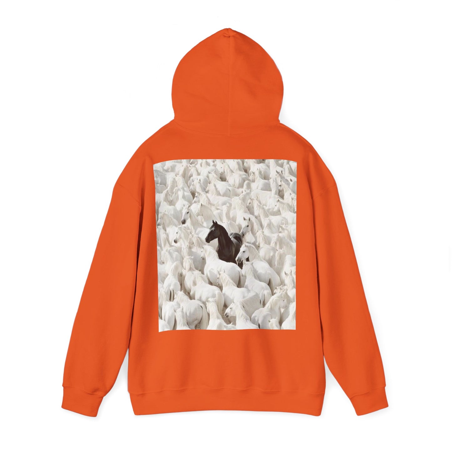 Hoodie – 'Stand Out' Black Horse Among White Sheep Graphic Hoodie