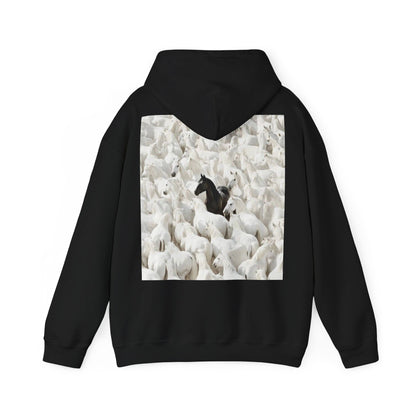 Hoodie – 'Stand Out' Black Horse Among White Sheep Graphic Hoodie