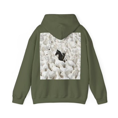 Hoodie – 'Stand Out' Black Horse Among White Sheep Graphic Hoodie