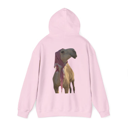 Hoodie - 'I Am OK' Minimal | Graphic Hooded Sweatshirt | Winter Drop