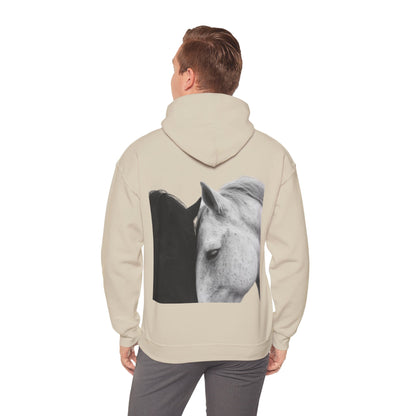 Horse Hoodie — Minimal Line Art Front & Black‑White Photo Back | Winter Drop