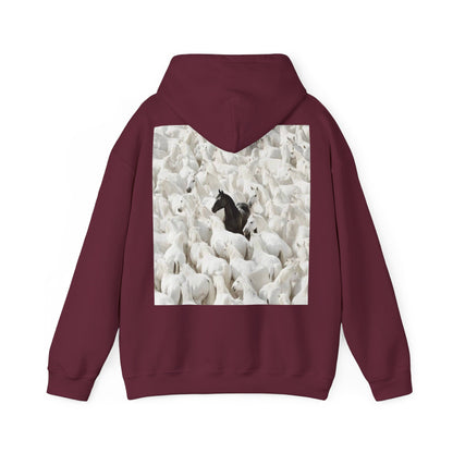 Hoodie – 'Stand Out' Black Horse Among White Sheep Graphic Hoodie