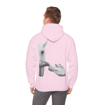 Horse Whisperer Hoodie - Minimal Line Art & Photo Back Print | Winter Drop