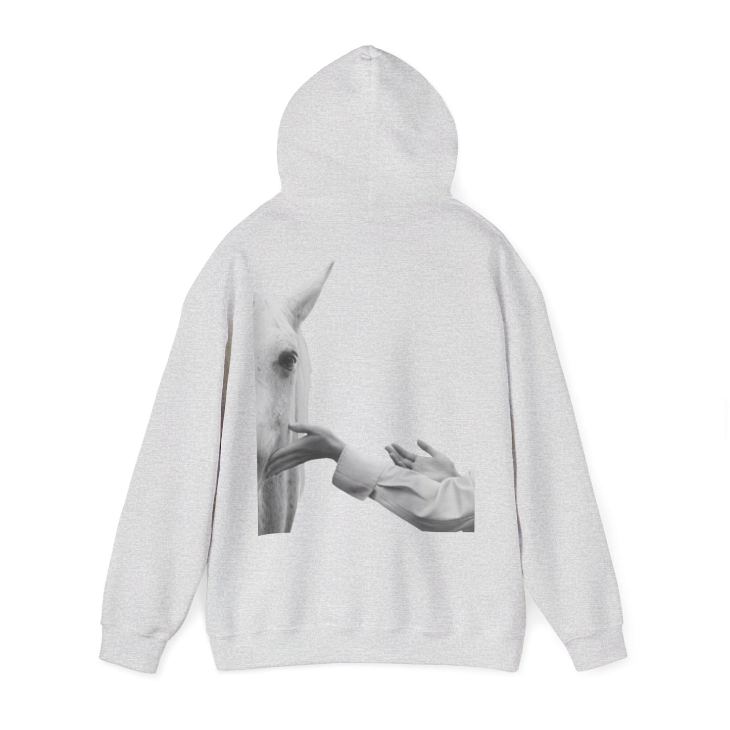 Horse Whisperer Hoodie - Minimal Line Art & Photo Back Print | Winter Drop