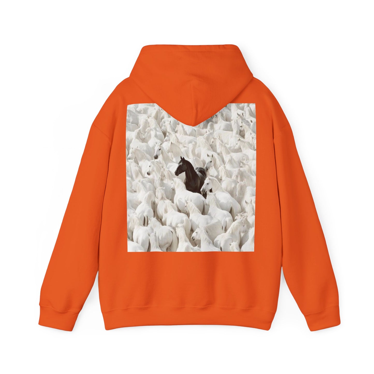 Hoodie – 'Stand Out' Black Horse Among White Sheep Graphic Hoodie