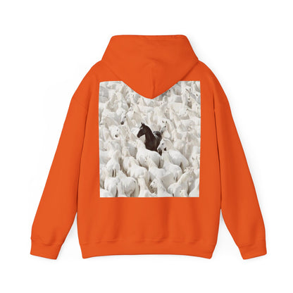 Hoodie – 'Stand Out' Black Horse Among White Sheep Graphic Hoodie