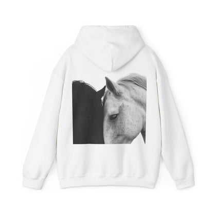 Horse Hoodie — Minimal Line Art Front & Black‑White Photo Back | Winter Drop