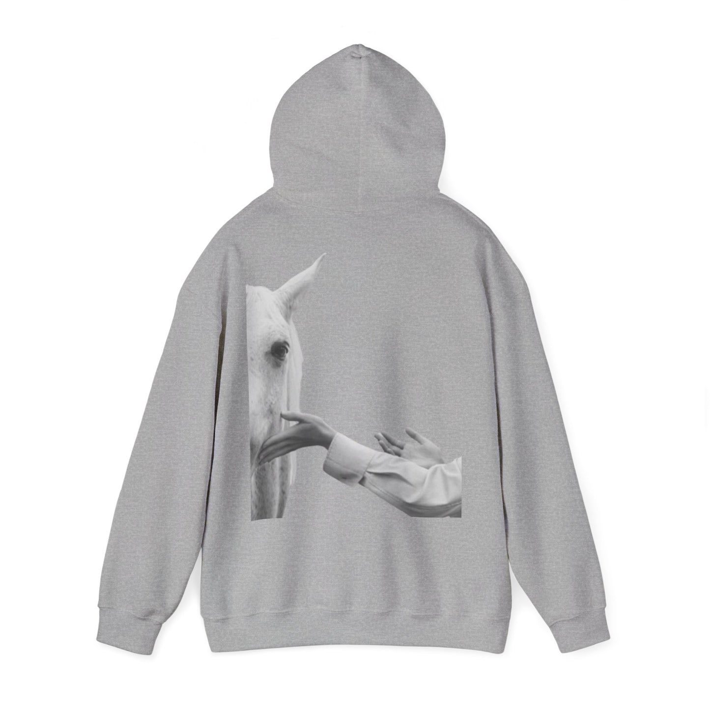 Horse Whisperer Hoodie - Minimal Line Art & Photo Back Print | Winter Drop