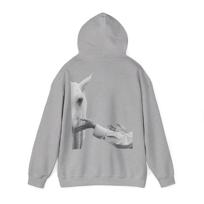 Horse Whisperer Hoodie - Minimal Line Art & Photo Back Print | Winter Drop