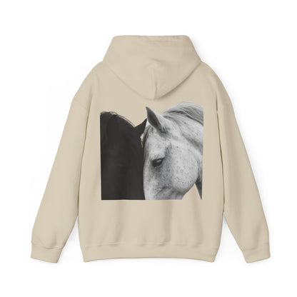 Horse Hoodie — Minimal Line Art Front & Black‑White Photo Back | Winter Drop