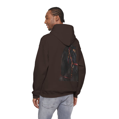 Black Stallion Horse Hoodie – Back Print | Winter Drop