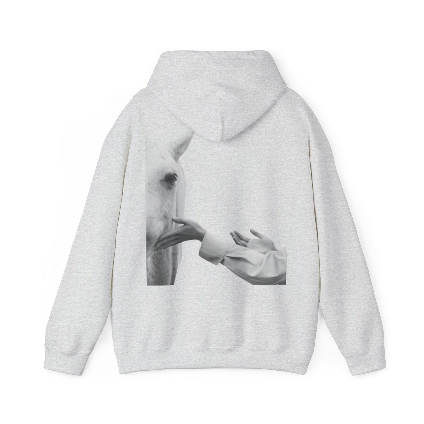 Horse Whisperer Hoodie - Minimal Line Art & Photo Back Print | Winter Drop
