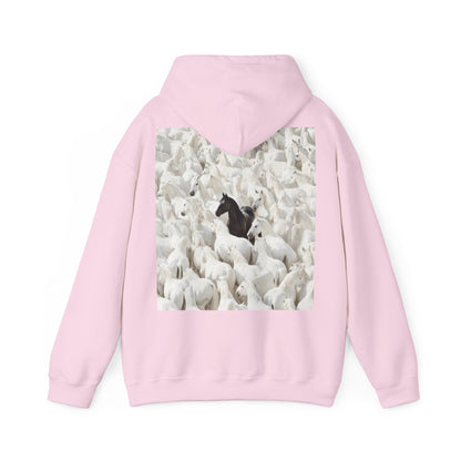 Hoodie – 'Stand Out' Black Horse Among White Sheep Graphic Hoodie