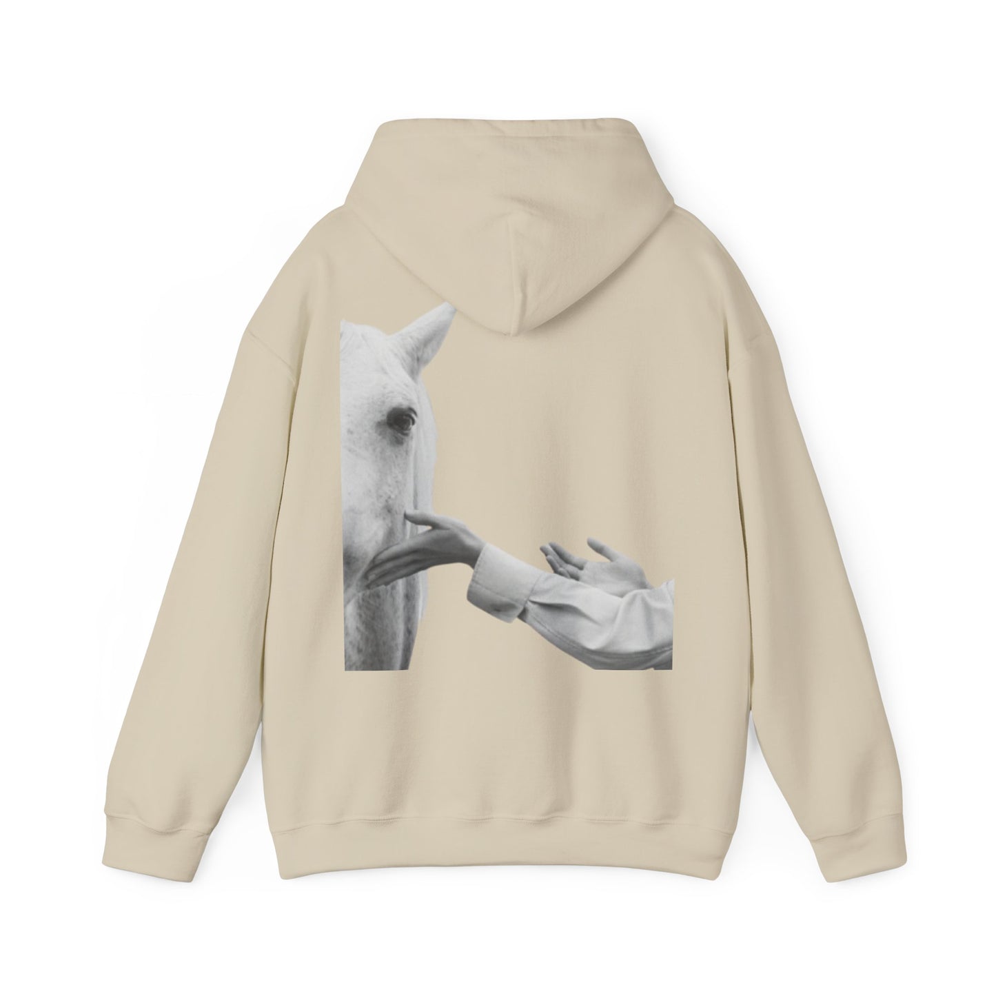 Horse Whisperer Hoodie - Minimal Line Art & Photo Back Print | Winter Drop