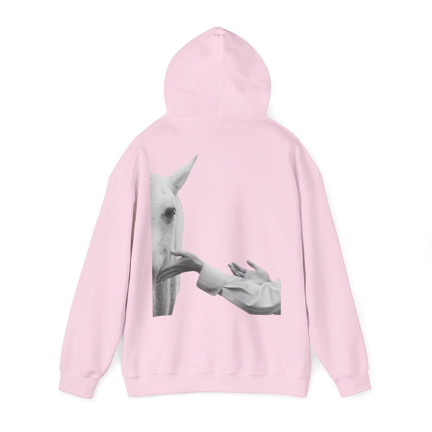 Horse Whisperer Hoodie - Minimal Line Art & Photo Back Print | Winter Drop