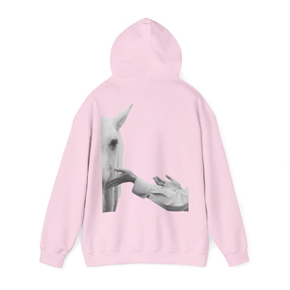Horse Whisperer Hoodie - Minimal Line Art & Photo Back Print | Winter Drop