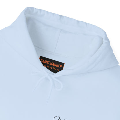 Hoodie – 'Stand Out' Black Horse Among White Sheep Graphic Hoodie