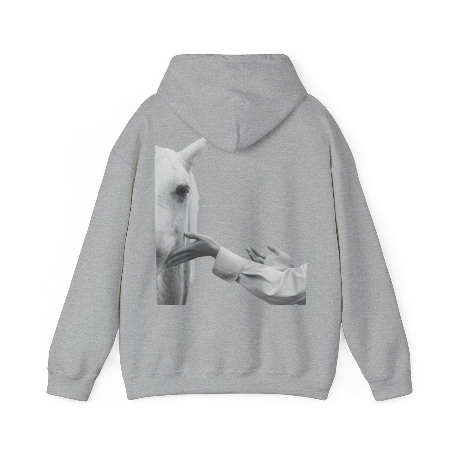 Horse Whisperer Hoodie - Minimal Line Art & Photo Back Print | Winter Drop