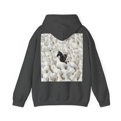 Hoodie – 'Stand Out' Black Horse Among White Sheep Graphic Hoodie