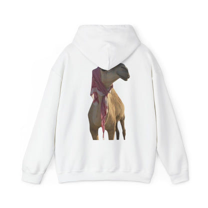 Hoodie - 'I Am OK' Minimal | Graphic Hooded Sweatshirt | Winter Drop