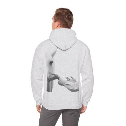 Horse Whisperer Hoodie - Minimal Line Art & Photo Back Print | Winter Drop