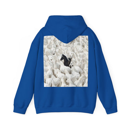 Hoodie – 'Stand Out' Black Horse Among White Sheep Graphic Hoodie