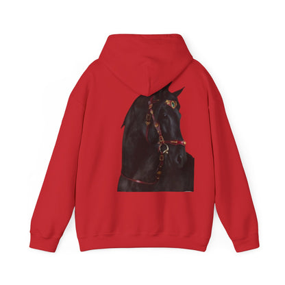 Black Stallion Horse Hoodie – Back Print | Winter Drop
