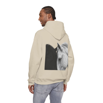 Horse Hoodie — Minimal Line Art Front & Black‑White Photo Back | Winter Drop