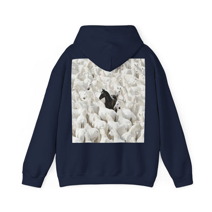 Hoodie – 'Stand Out' Black Horse Among White Sheep Graphic Hoodie