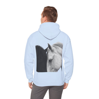 Horse Hoodie — Minimal Line Art Front & Black‑White Photo Back | Winter Drop