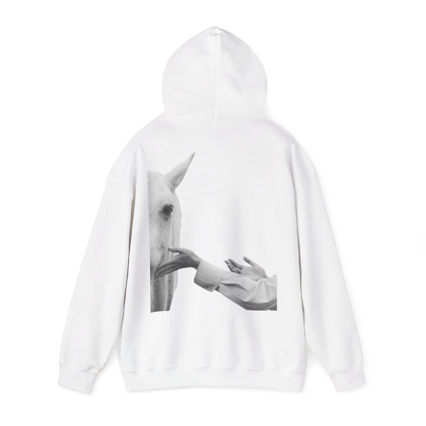 Horse Whisperer Hoodie - Minimal Line Art & Photo Back Print | Winter Drop