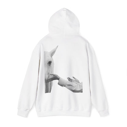 Horse Whisperer Hoodie - Minimal Line Art & Photo Back Print | Winter Drop